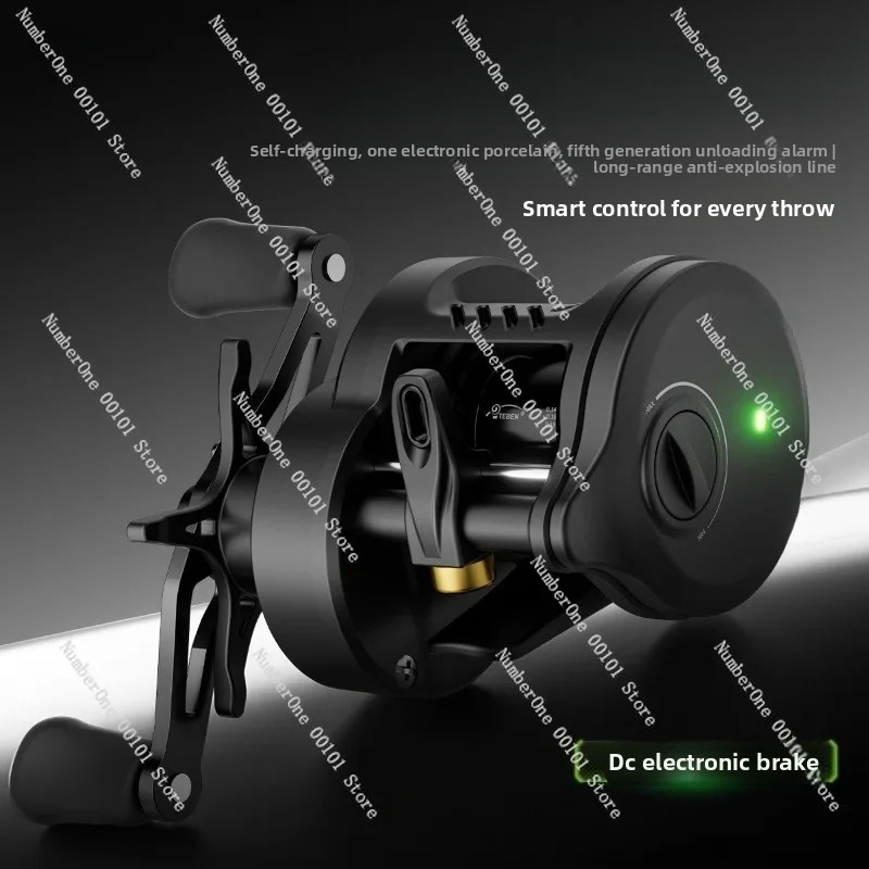Electronic Magnetic Brake Fish - Baitcasting Reel avis et prix